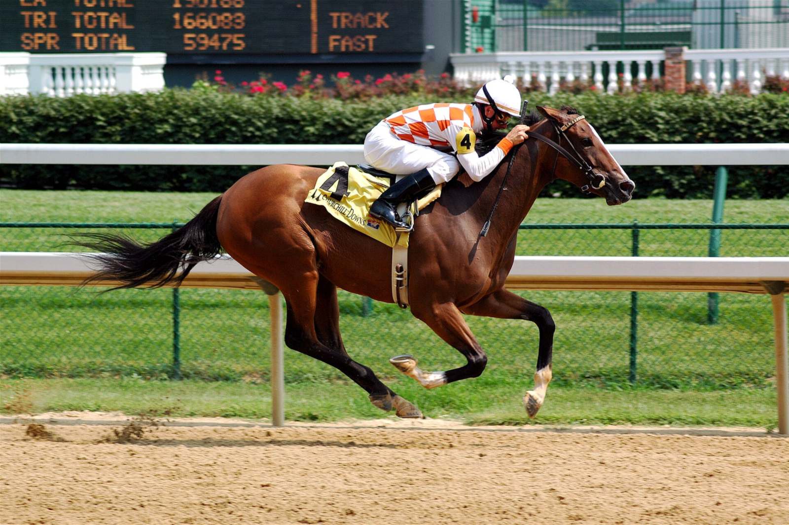 Jockey and racehorse galloping at Churchill Downs racetrack